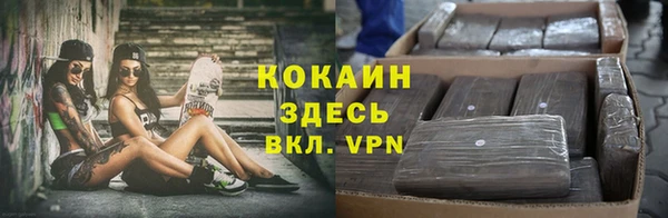PSILOCYBIN Осташков
