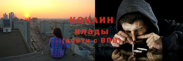 PSILOCYBIN Осташков